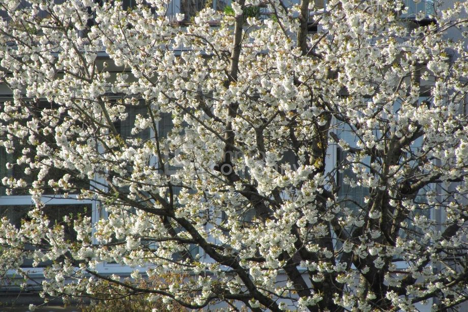 Schöne und große Wohnung. - Sonnig, tolle Aussicht !