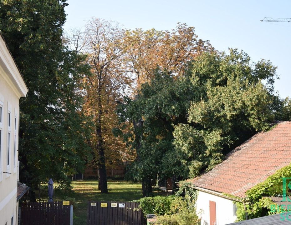 GEWERBE & WOHNEN - Großes Ausbau-/ Neubaupotential - Weitläufige Grünfläche - Parkplätze!