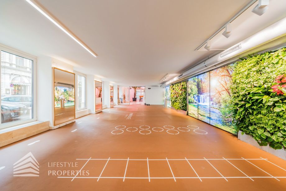 Luxuriöse 5-Zimmer-Dachterrassenwohnung Nähe Stephansplatz
