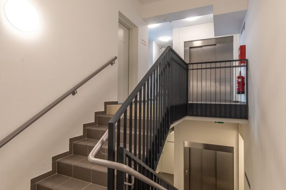 Six in the City: 2-Zimmer Apartment, NEUBAU-ZWEITBEZUG, Haus des Meeres, BESTLAGE! optimal für Singles oder Pärchen!