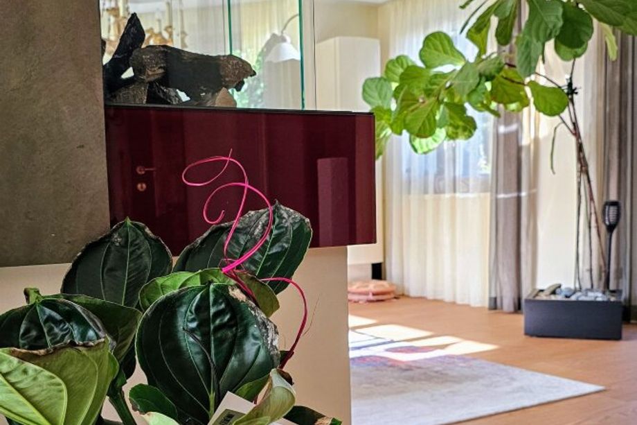 Luxuriöser Familiensitz mit Traum-Ambiente in einer der schönsten Wohnbezirke von Graz!