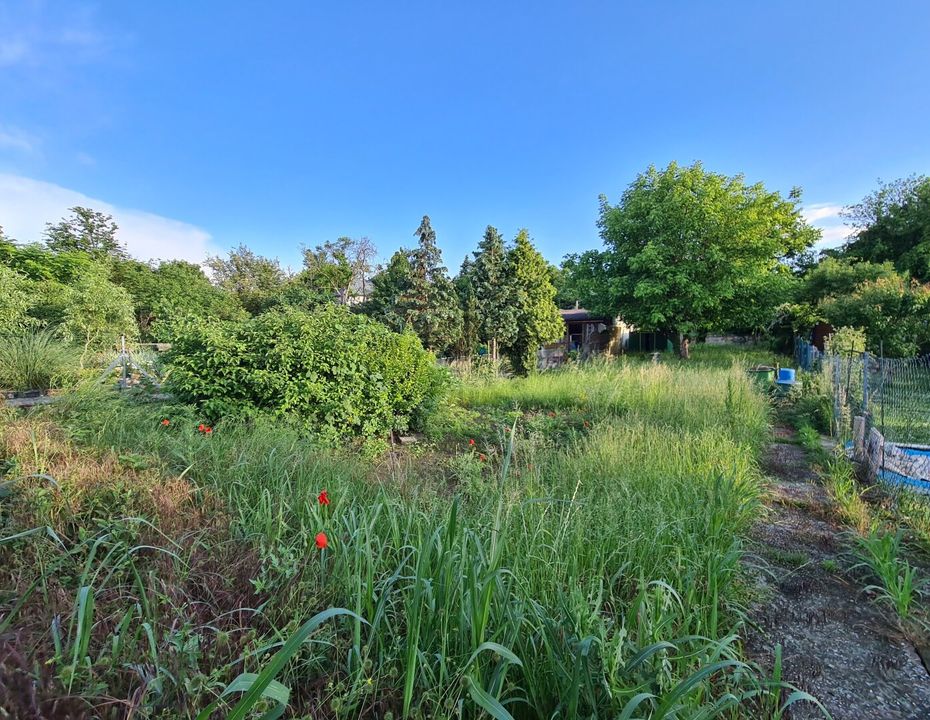 Traum-Eigengrund | Friedhof Großjedlersdorf
