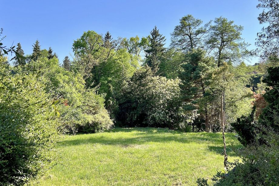 Grundstück in Grün-Ruhelage Rosenberg - 1.938 m² für anspruchsvolle Neubaukonzepte