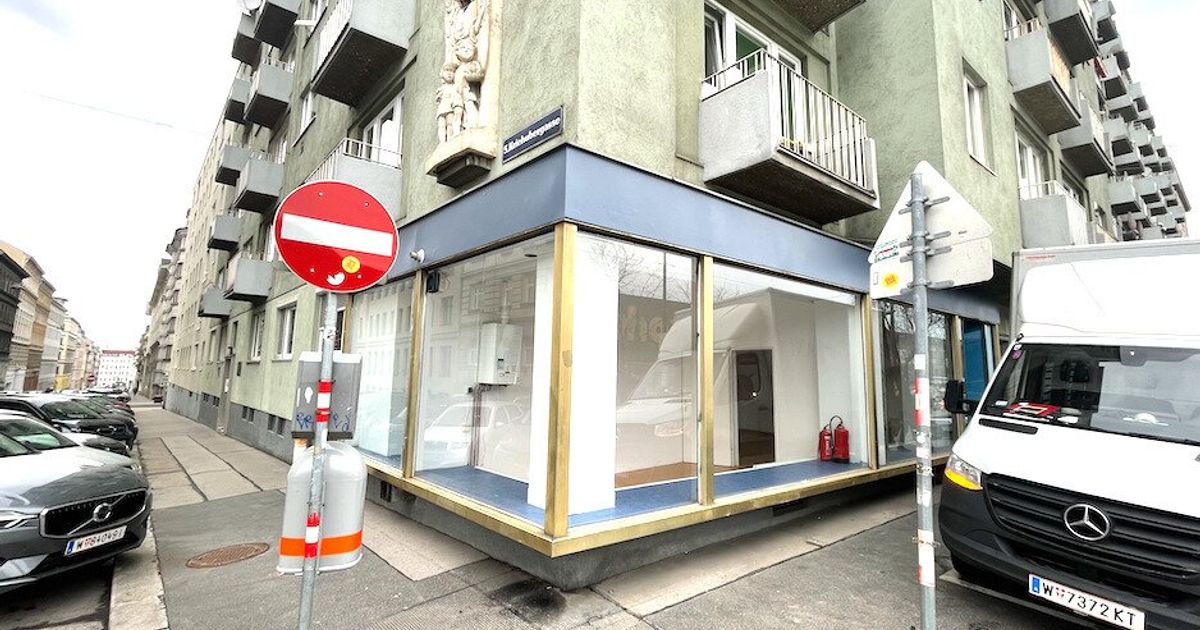 1050ウィーンの別館 / Zinshaus Kauf | 513.13m²| €1,390,000