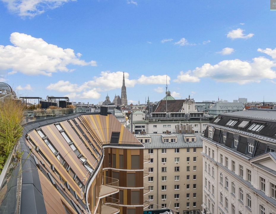 Traumhaftes Penthouse im Zentrum Wiens: Einzigartiger Rundumblick inklusive