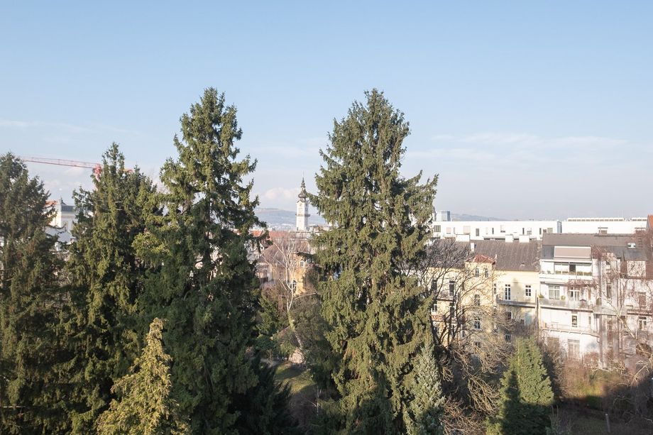 LINZ INNENSTADT. EINDRUCKSVOLLE DACHGESCHOSSWOHNUNG MIT KAMIN UND WEITSICHT.