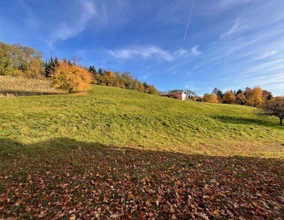 Rosenberg: Exklusives Baugrundstück mit Platz und Aussicht