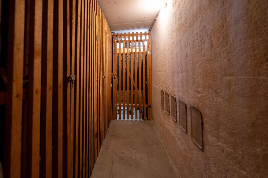 Stilvoll wohnen - charmante 3-Zimmer-Wohnung nahe der Freizeitanlage Wimpassing in Wels