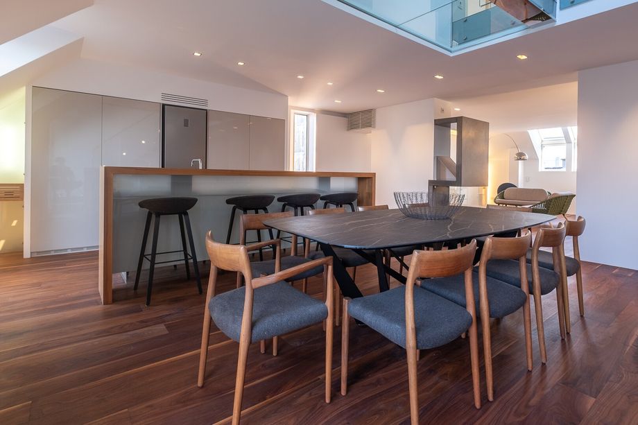 LINZ INNENSTADT. EINDRUCKSVOLLE DACHGESCHOSSWOHNUNG MIT KAMIN UND WEITSICHT.