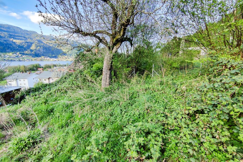 Kleingarten mit Seeblick auf den Ossiacher-See. - Nur 3 Stück verfügbar: Schnell anfragen!