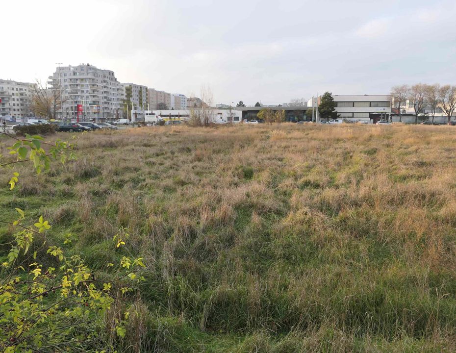 Großzügiges, unbebautes Grundstück in 1220 Wien - zu mieten