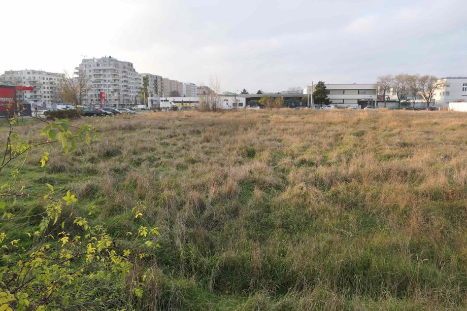 Großzügiges, unbebautes Grundstück in 1220 Wien - zu mieten