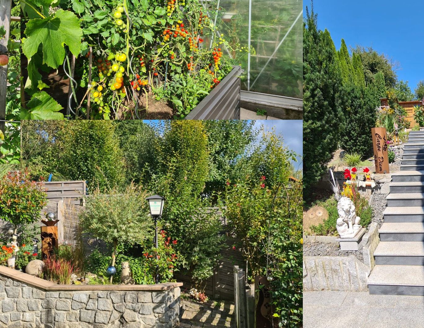 ERFOLGREICH VERMITTELT! SOFORT VERFÜGBAR! Urlaubsfeeling trifft Sparwunder! Stilvolles Zuhause mit Pool, Traumgarten und niedrigen Energiekosten!