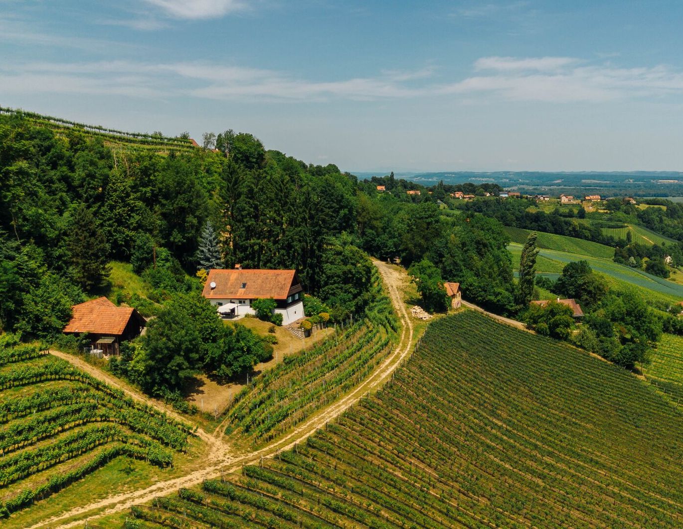 Alleinlage, Weinberge, Weitblick und Idylle - Ihr Rückzugsort am Graßnitzberg!