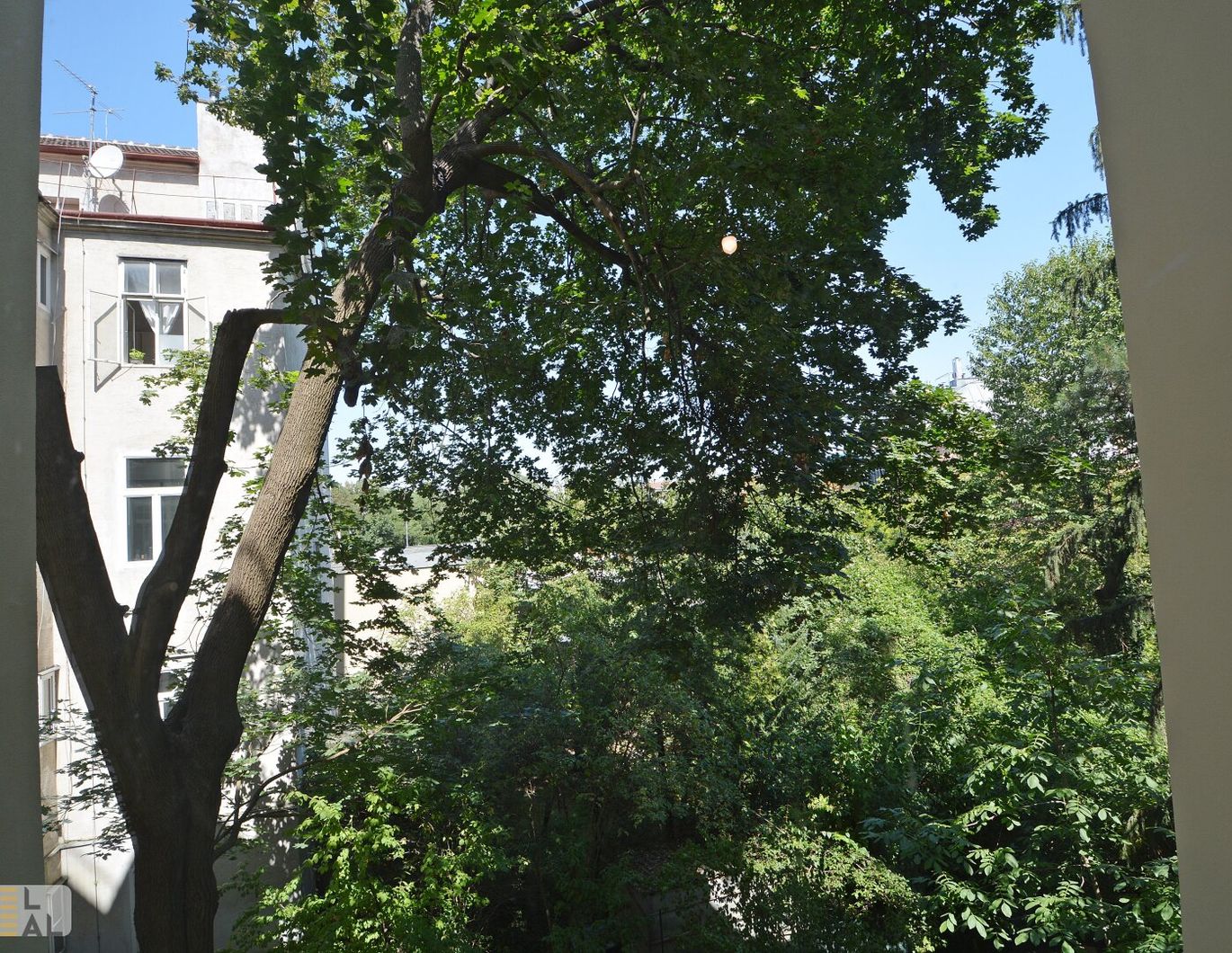 Sanierungsbedürftige, großzügige 4-Zimmer-Wohnung mit Loggia