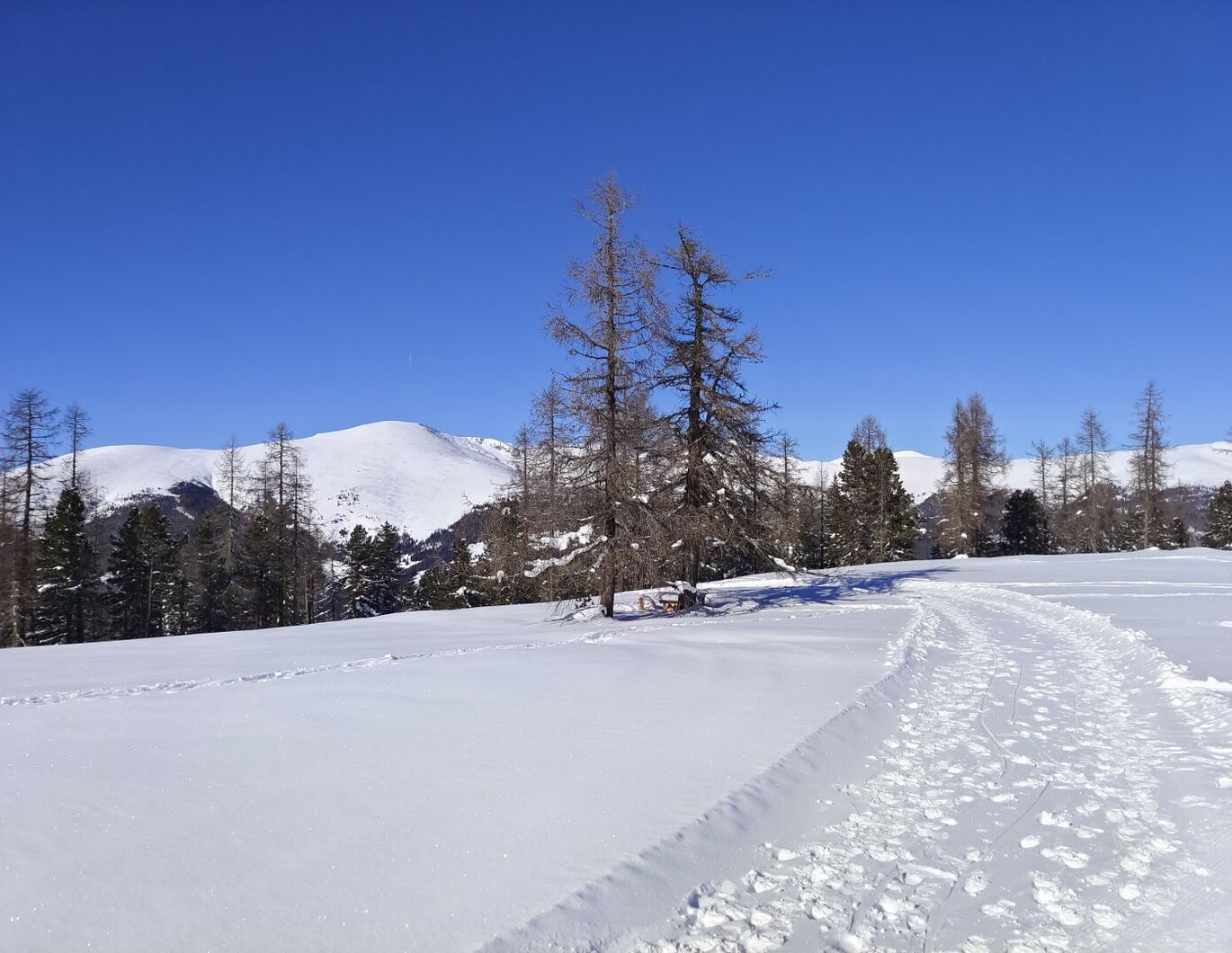 Kärnten: Hochrindl-Nähe Turracher Höhe: Schneesicherheit auf über 1600 Meter! Zweitwohnsitz! Erstbezug! Honorarfrei für Käufer: innen!