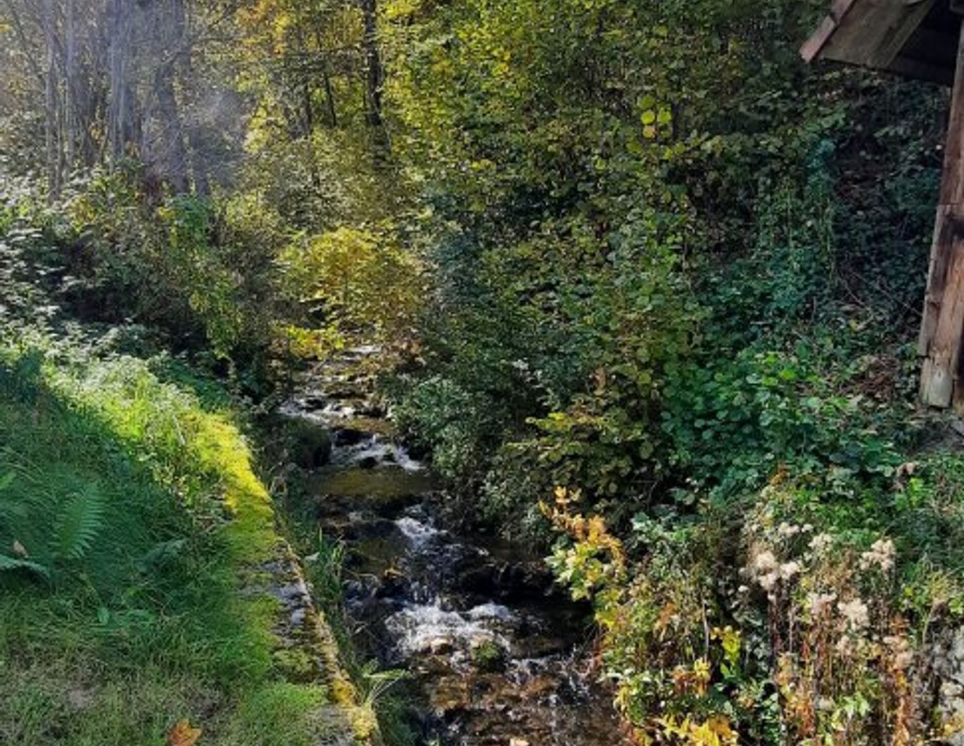Für Naturliebhaber und Heimwerker- sanierungsbedürftiges Bauernhaus mit Nebengebäuden - zwischen Hermagor und Villach