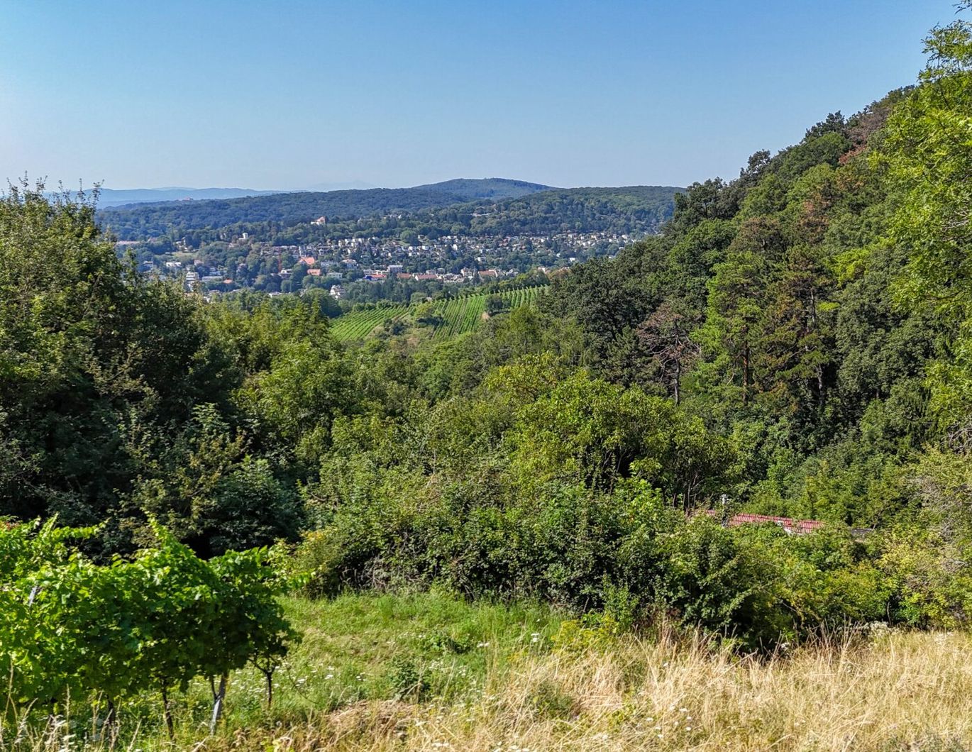 Ehemaliges Weinhauerhaus in einzigartiger Sieveringer Lage wartet auf Revitalisierung!