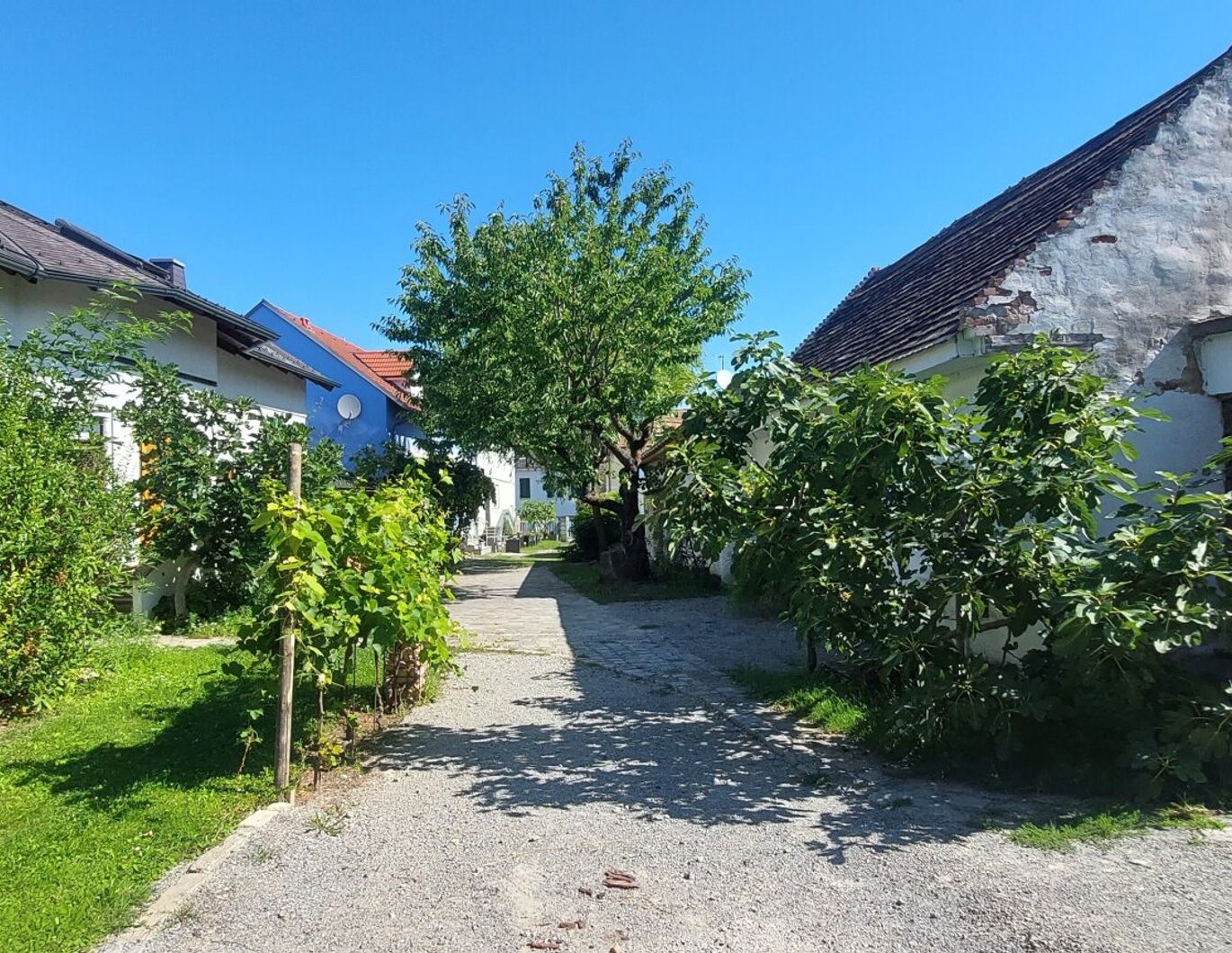Altburgenländischer Streckhof und Lagerräume
