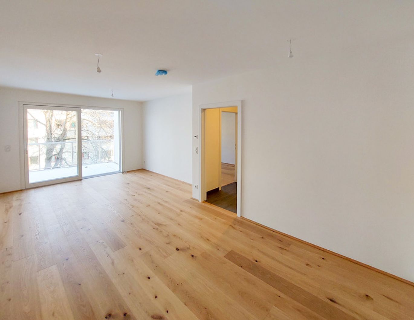 Freundliche 2-Zimmer Wohnung mit ganz viel Licht für ein gemütliches Zuhause