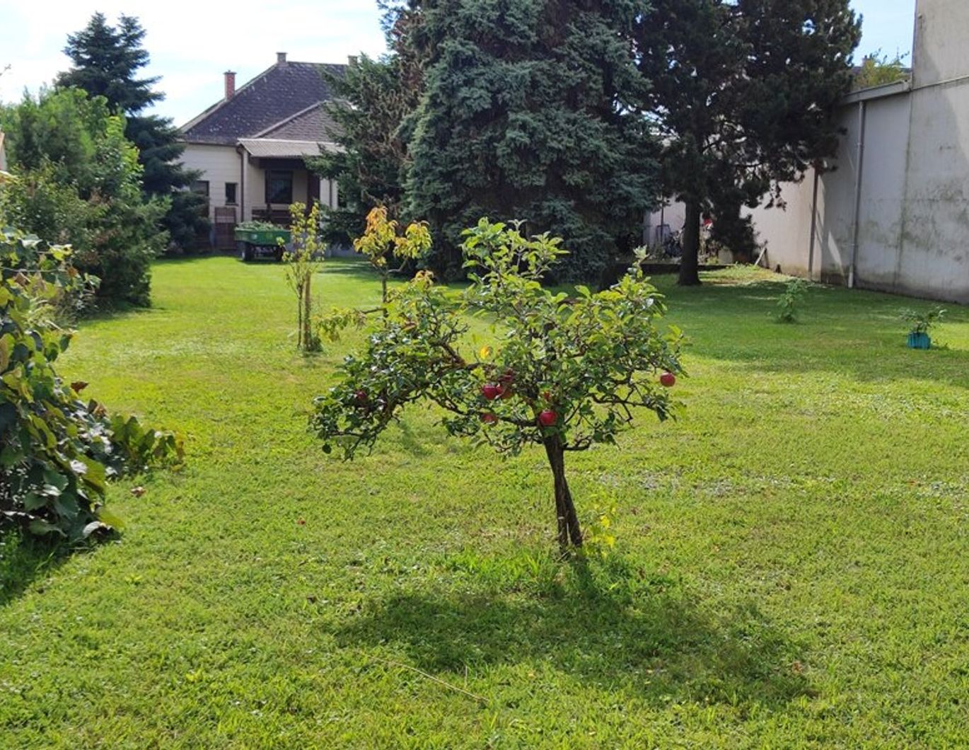 Einfamilienhaus auf großem Grundstück in Siegendorf! Teilweise Sanierungsbedarf!