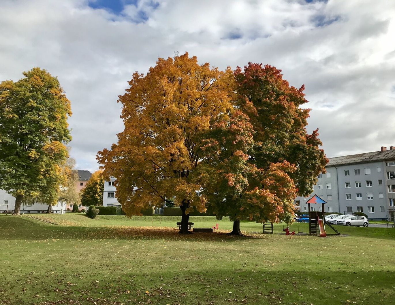 2 Zimmer | 3 Monate hauptmietzinsfrei