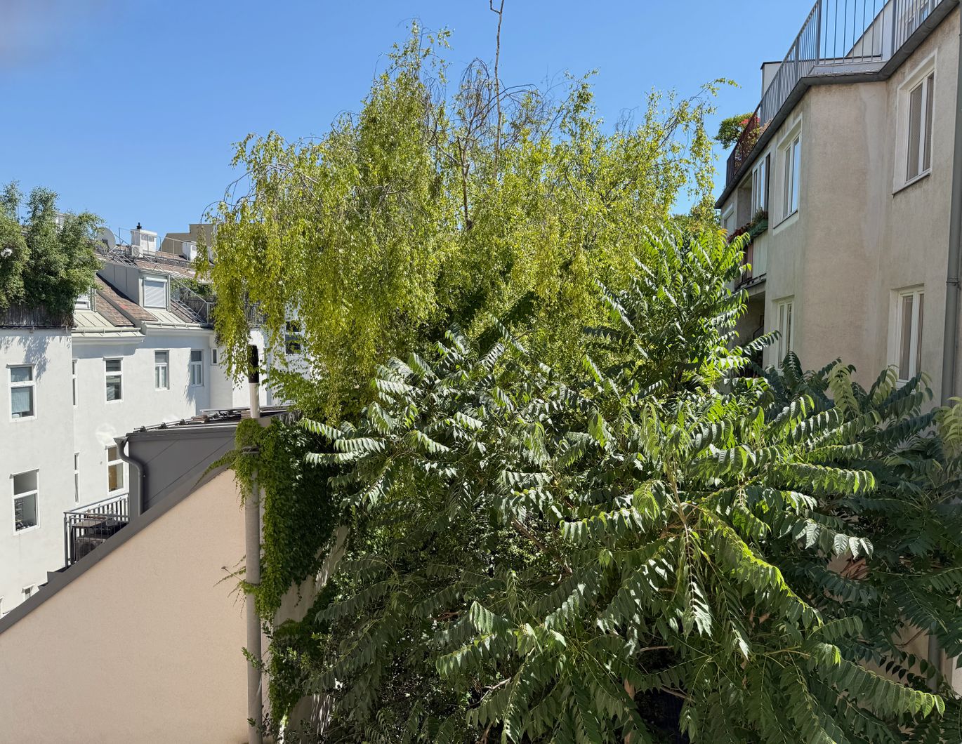 Erstbezug nach Kernsanierung I Fußbodenheizung I südseitiger Balkon I Luftwärmepumpe inkl. Kühlung I 3fach Verglasung mit Außenjalousien I Schlüsselfertig