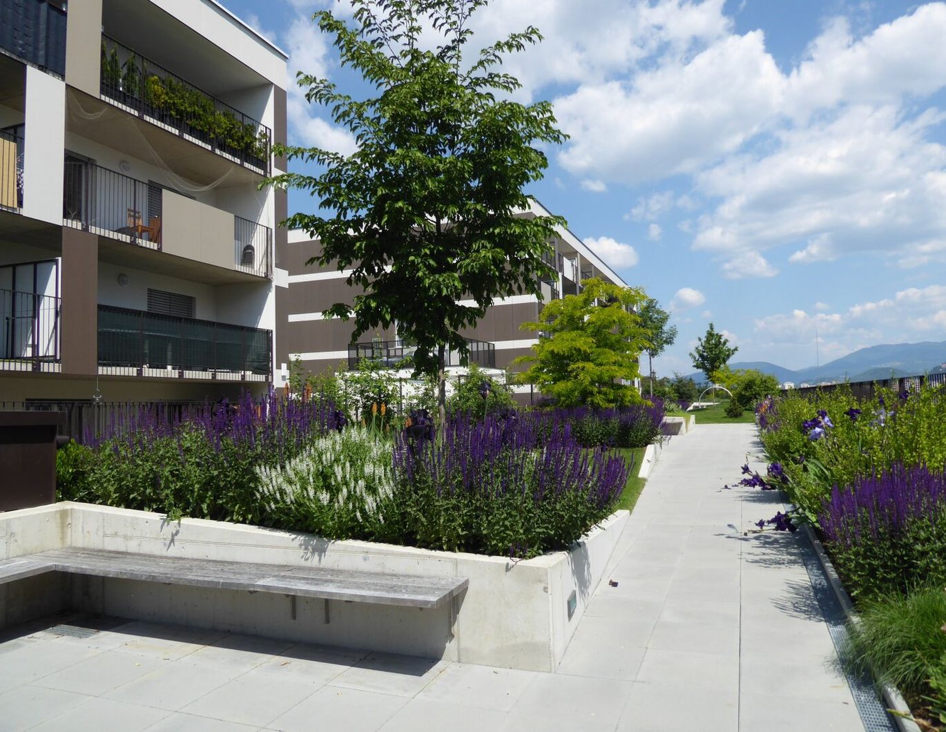 Modernes Wohnen im Brauquartier Puntigam