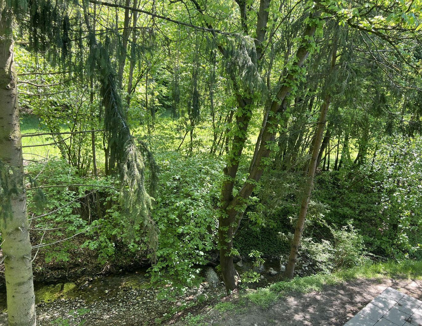 Wohnen am Bach