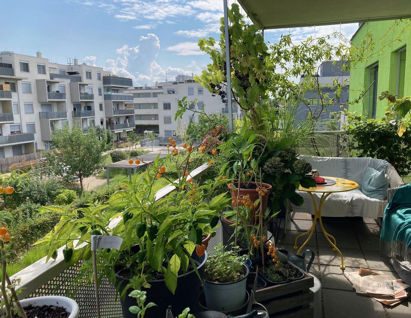 Eigentum-jetzt preiswert kaufen statt mieten