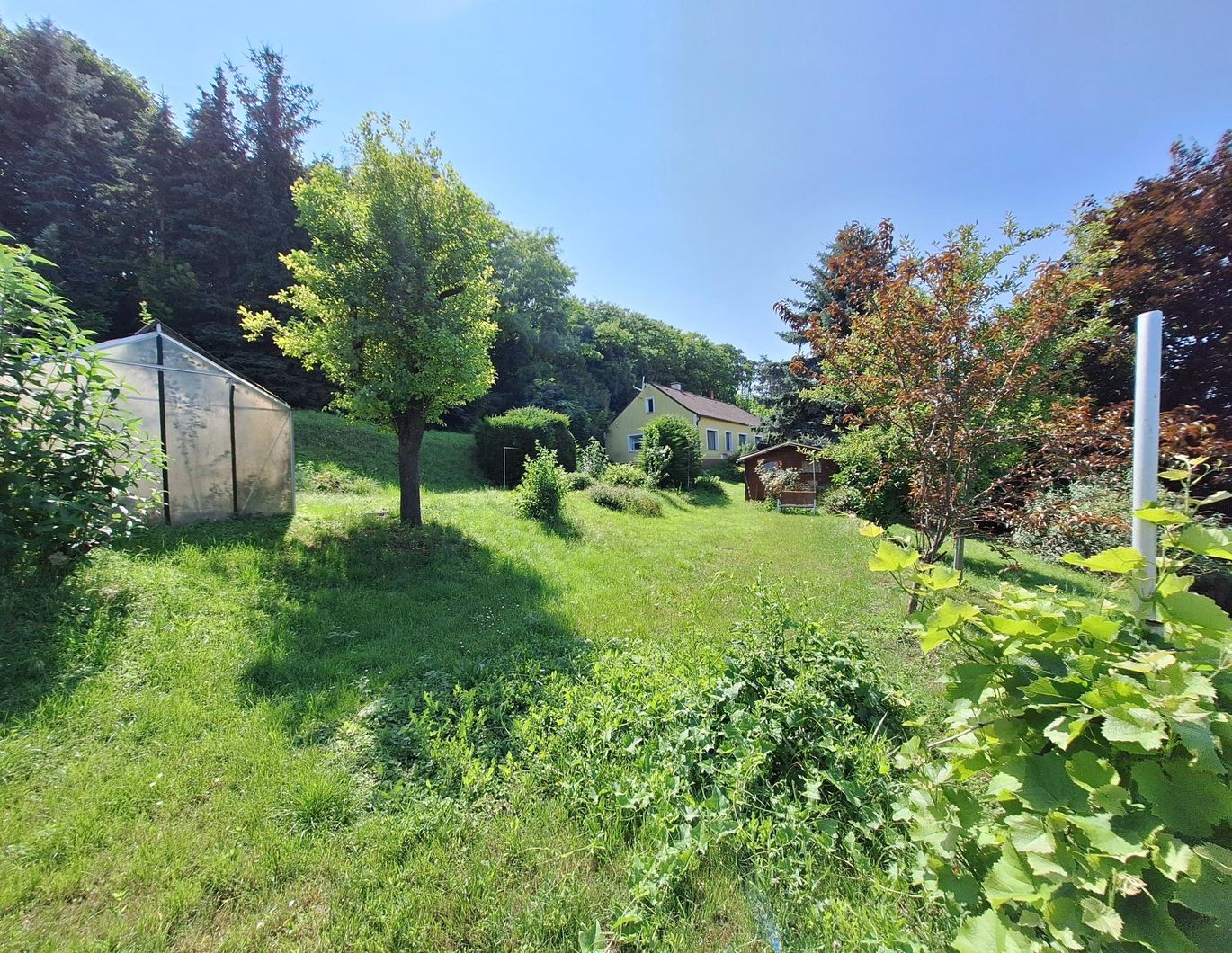 Bungalow mit großem Garten mit Obstbaumbestand