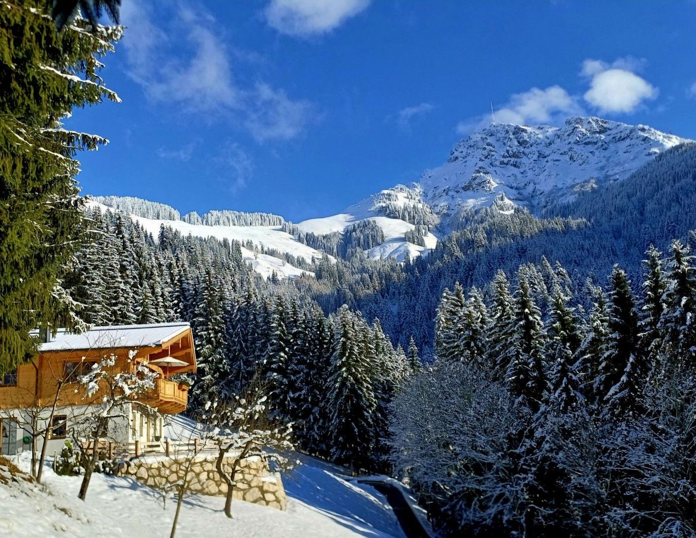 Gartenwohnung mit traumhaftem Ausblick