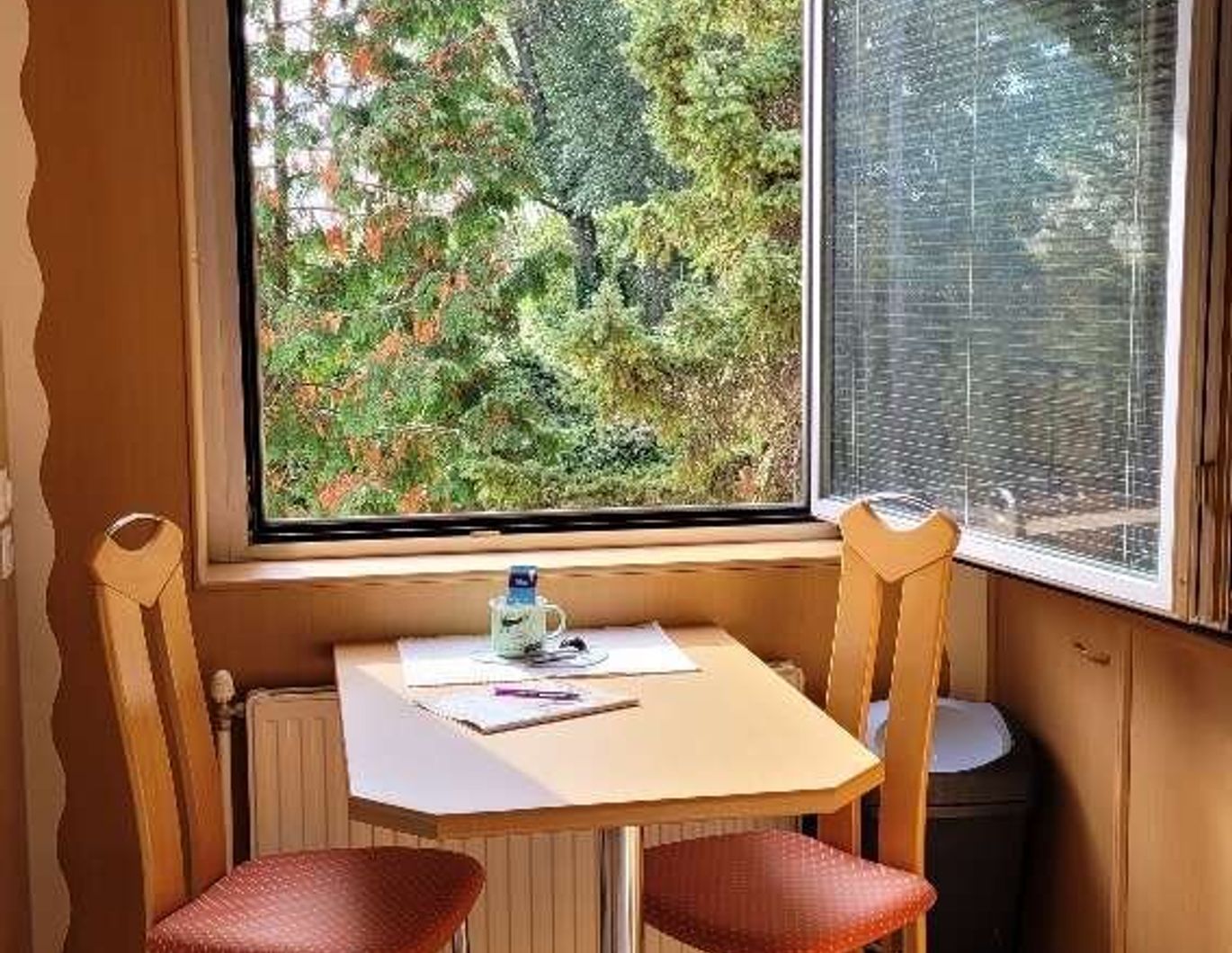 Wenn Sie die Natur vor dem Fenster möchten und trotzdem nicht auf alle Annehmlichkeiten einer Stadt verzichten wollen, sind Sie hier genau richtig!!