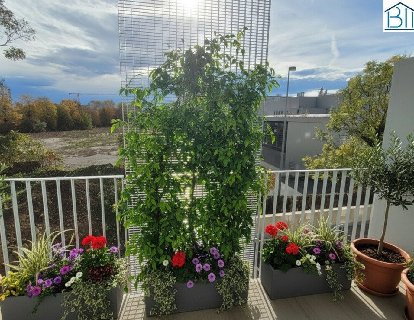 Wohnjuwel mit Ausblick