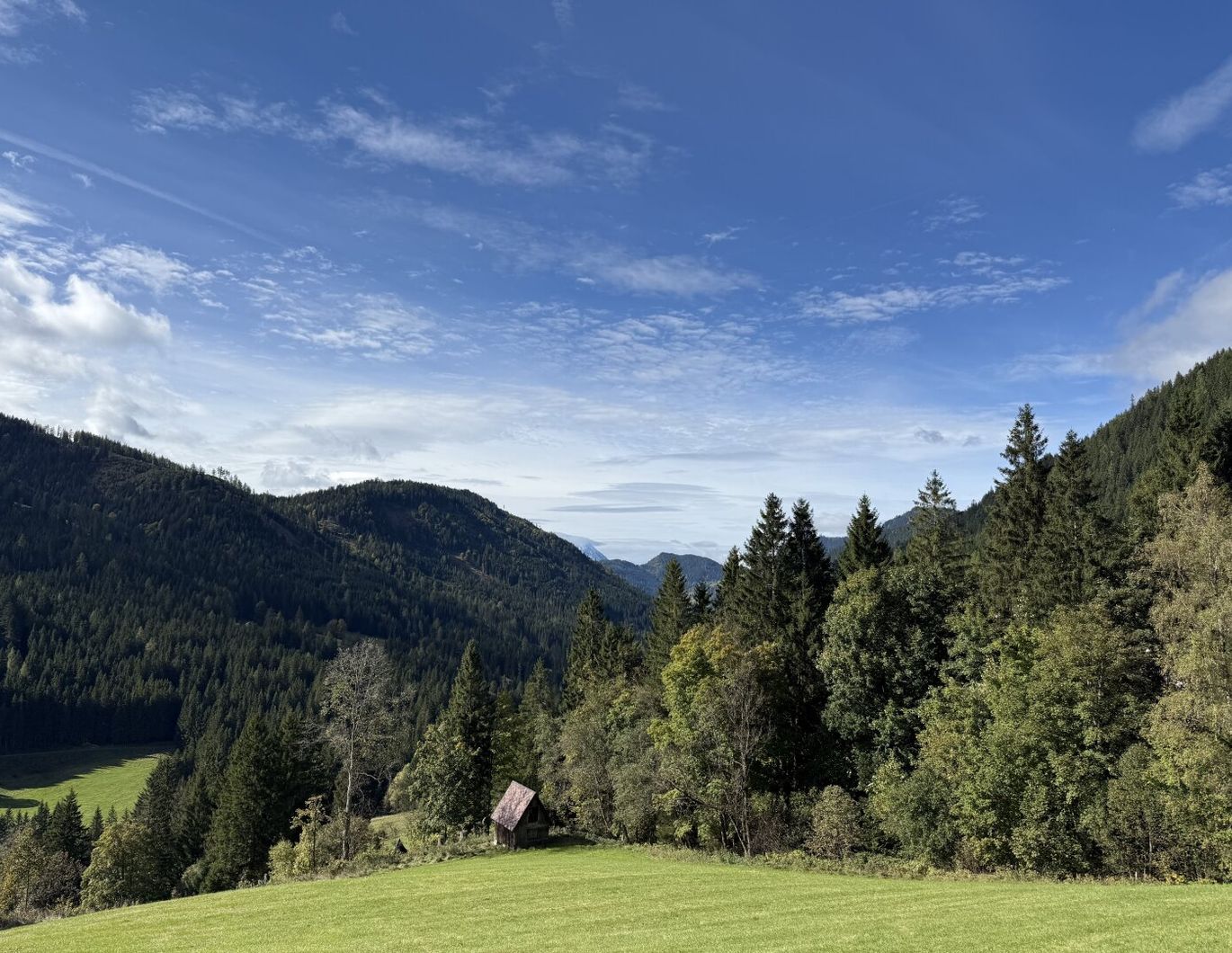Ihr persönliches Refugium: Gemütliches Wohnhaus mit Wellness-Highlights, Remise, Wald und atemberaubendem Bergblick