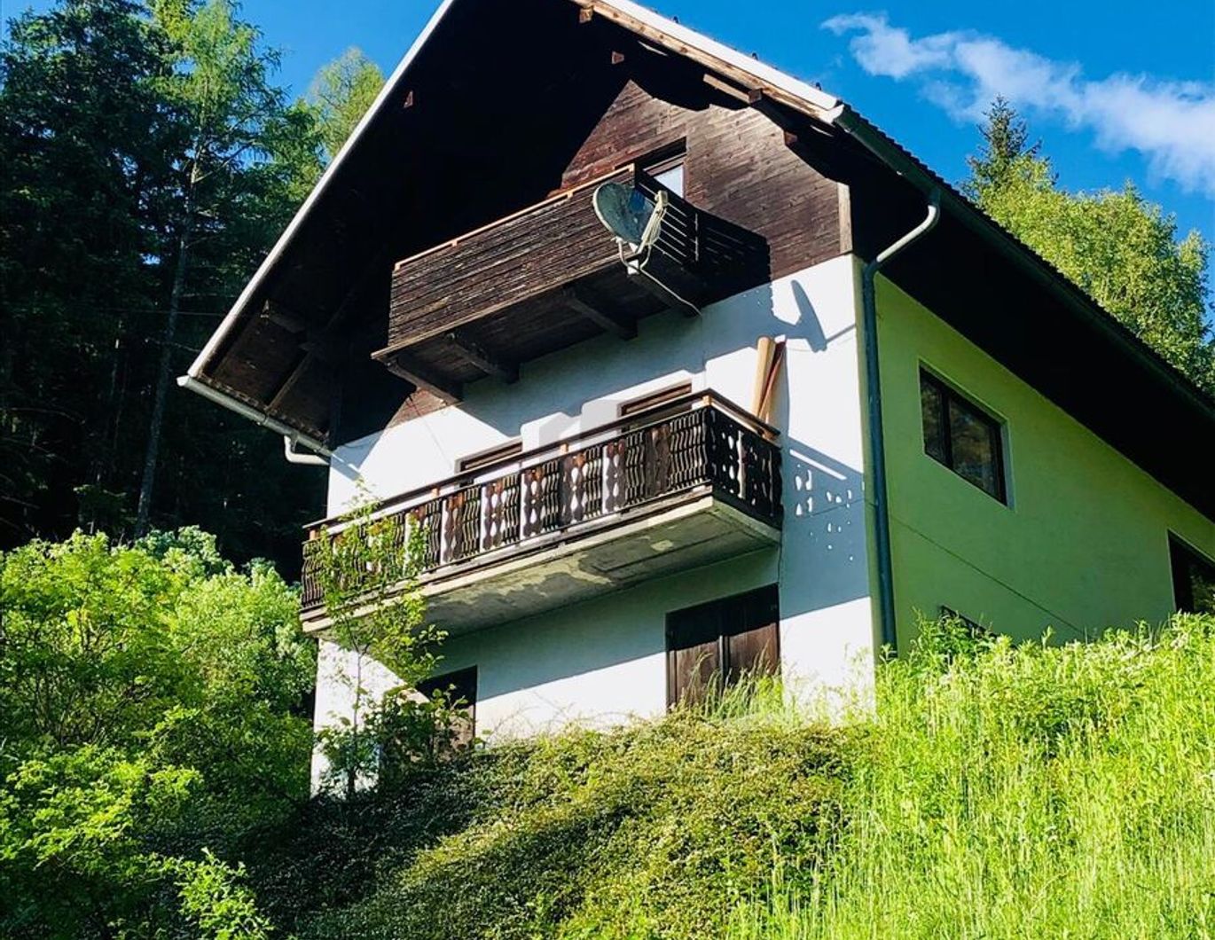 RUHE AM WALDRAND ÜBER DER NEBELGRENZE