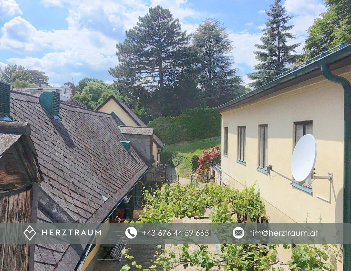 Historische Streckhof mit Studie für Ausbauprojekt in 1190 Wien - Provisionsfrei