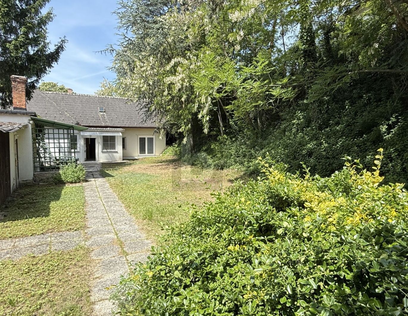 PREISHIT! BUNGALOW IN TOP RUHELAGE IN GROSSMUTSCHEN