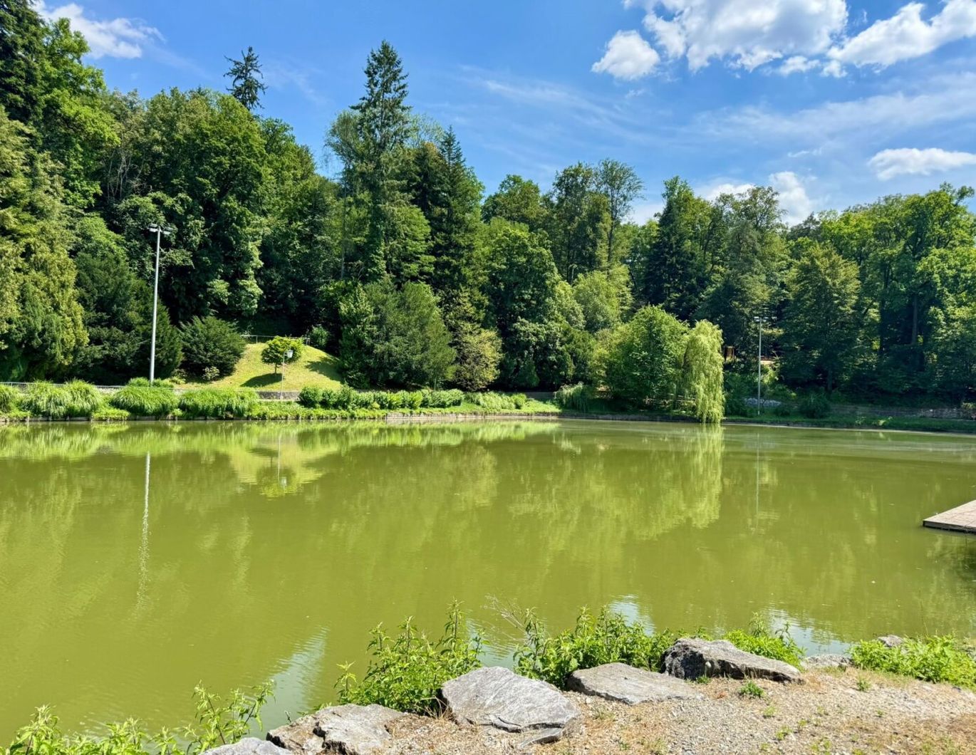 Privates Refugium mit besonderem Charme | 286 m² Eigengarten! | 1 TG-Platz umsonst!