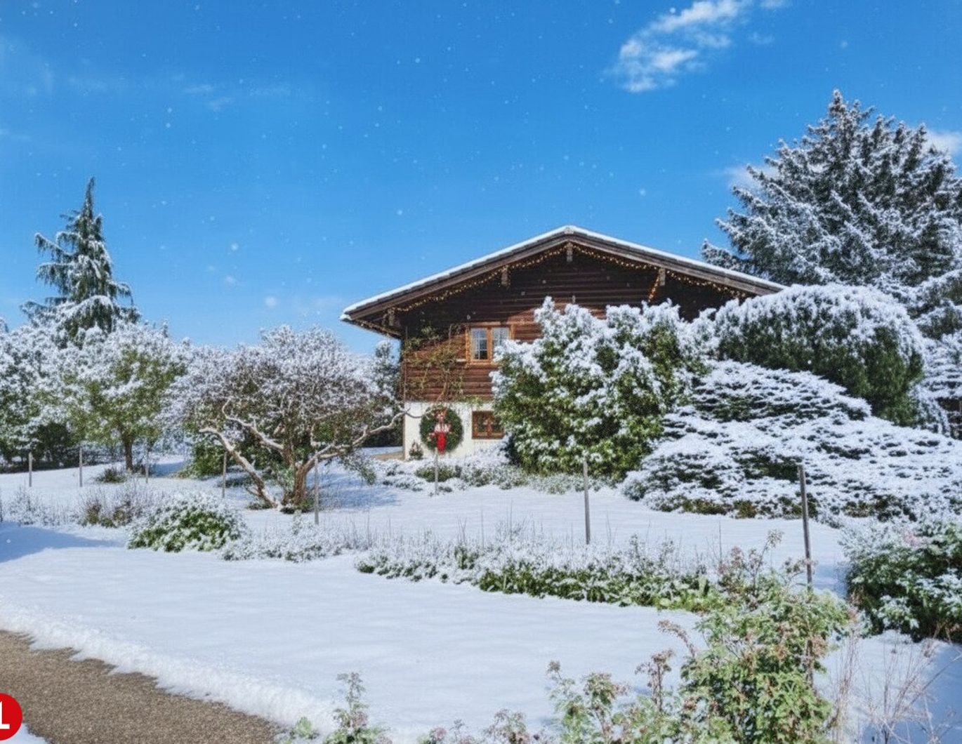 Ihr Stückchen heile Welt - charmantes Blockhaus mit viel Platz im Grünen