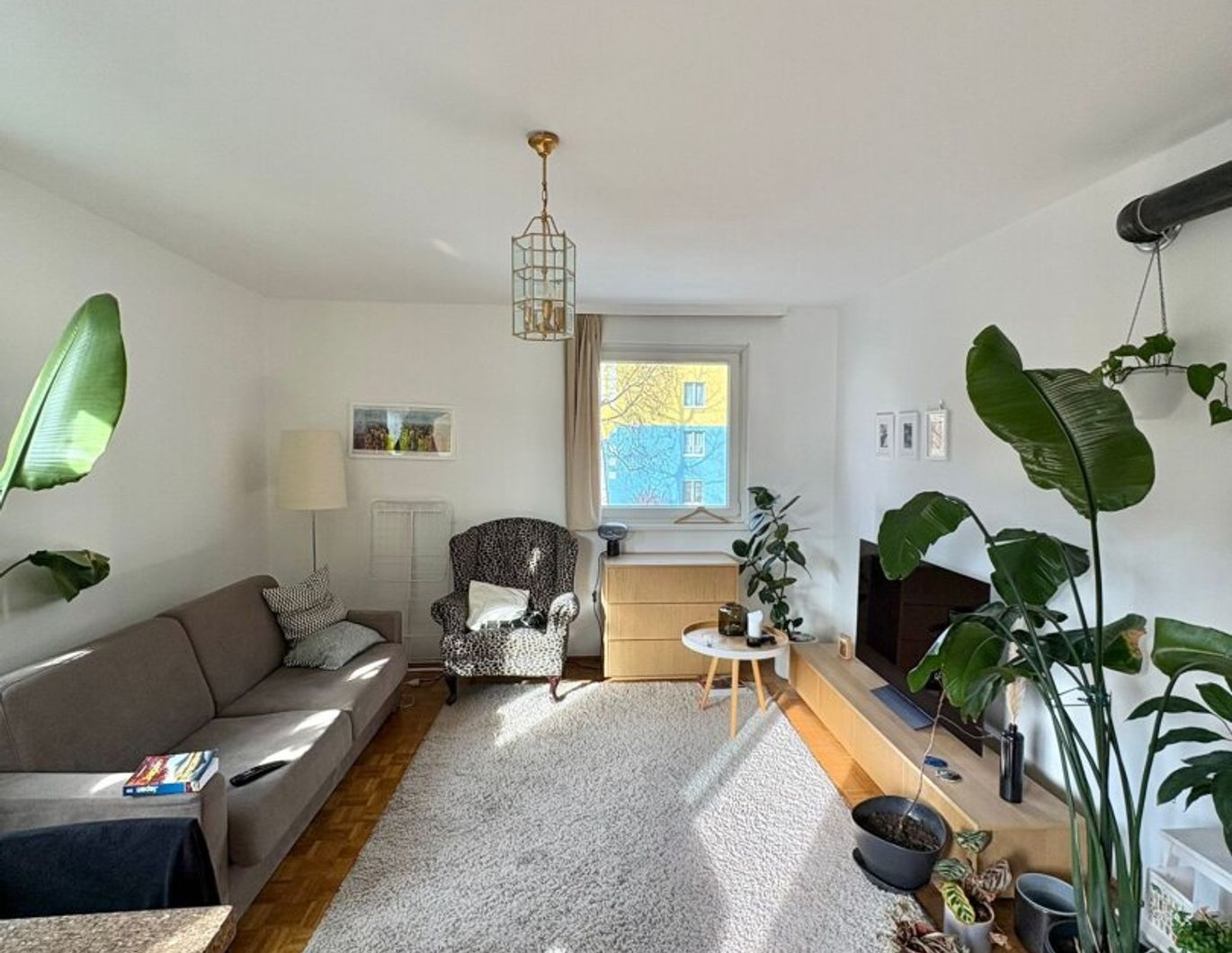 WG-Hit in Salzburg: 3 Zimmer + Balkon | Provisionsfrei