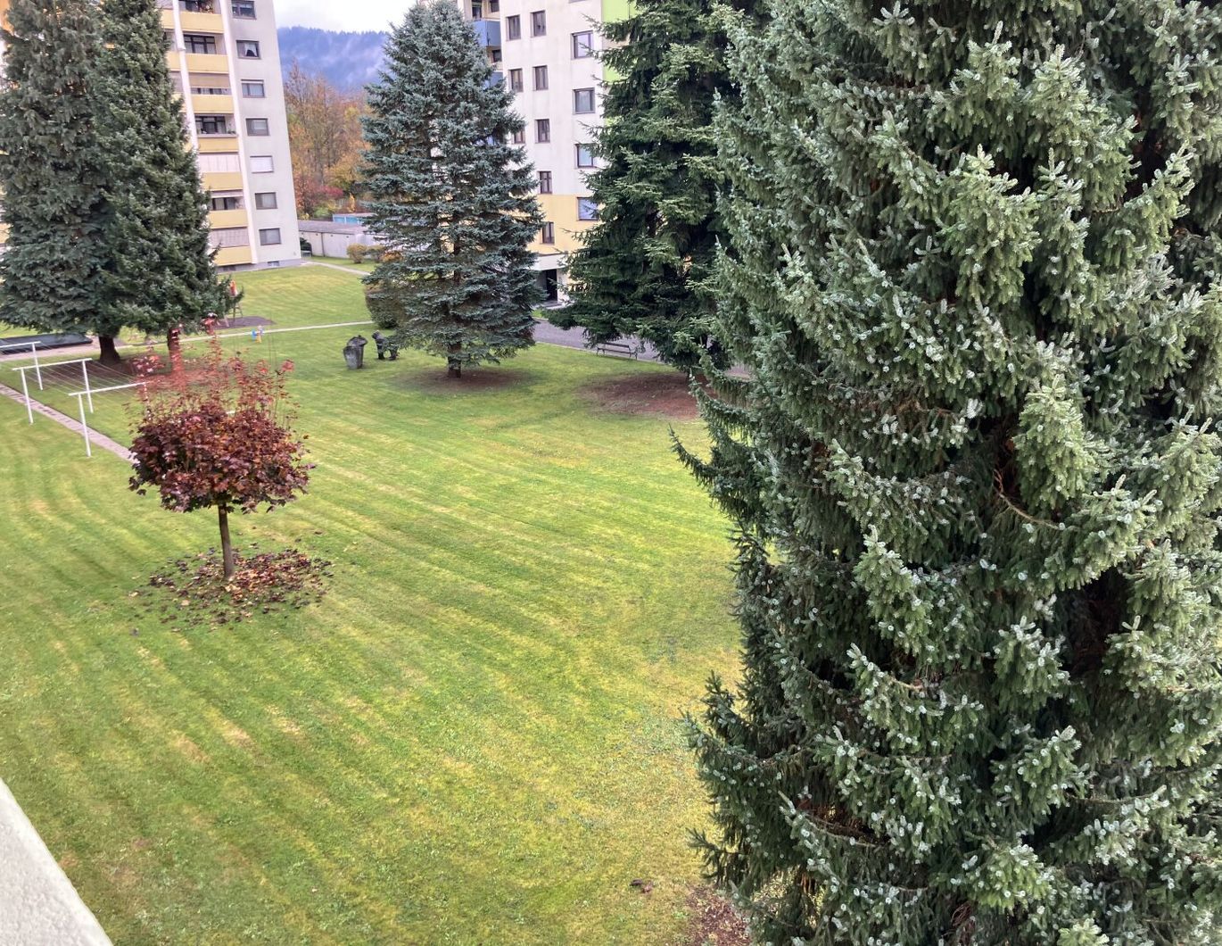 Nesanierte Wohnung ab 01.12. beziehbar