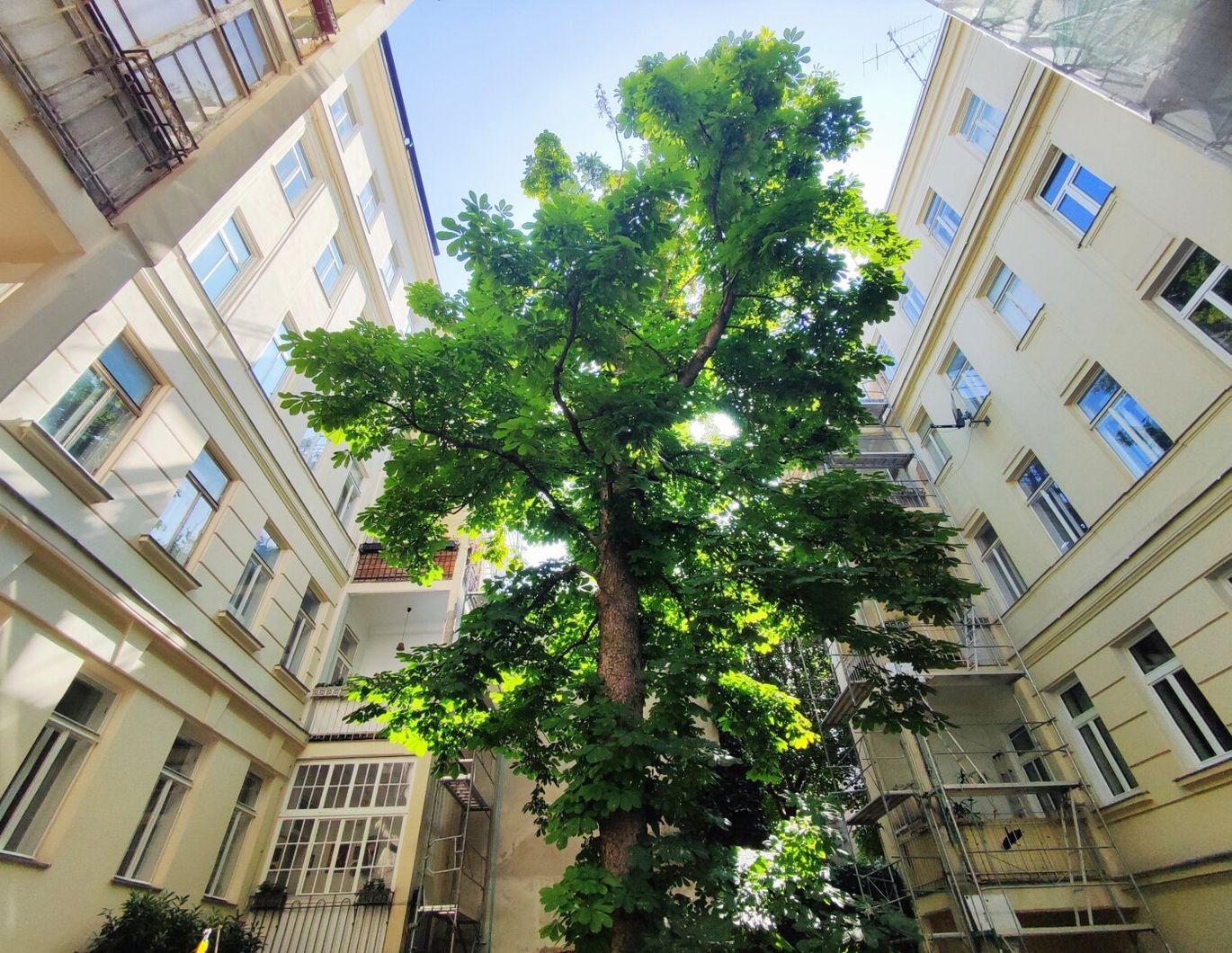 BLICK INS GRÜNE - Sanierungsbedürftiger Altbau in Hofruhelege!