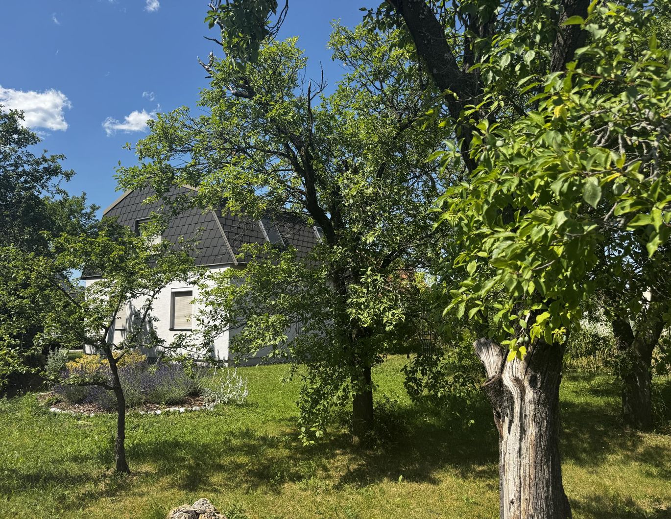 Wohnhaus inmitten vom Gartenparadies